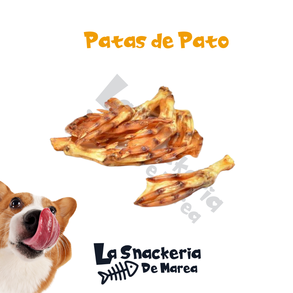 PATAS DE PATO (3 UNIDADES)