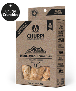 CRUNCHIES DE CHURPI