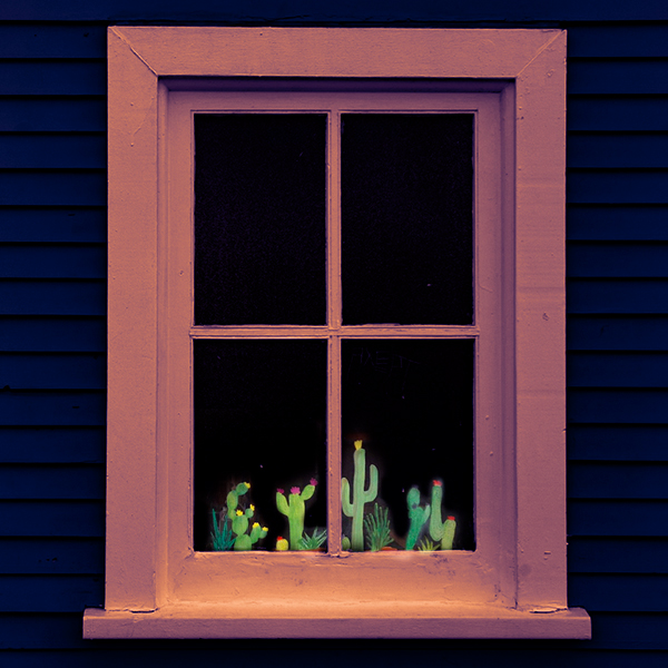 Cactus ventana