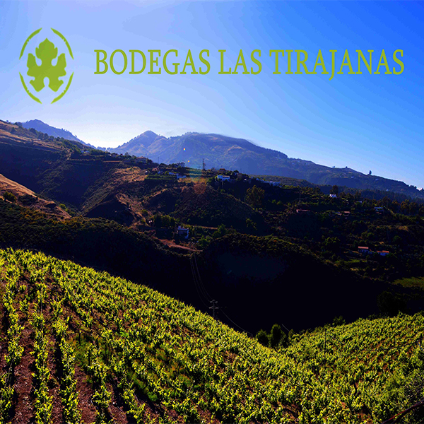 SAT Bodegas Las Tirajanas