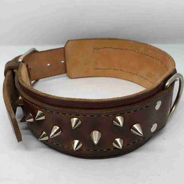 COLLAR REFORZADO PINCHOS<br> 