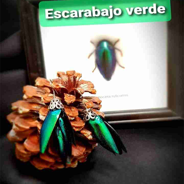 Pendientes de escarabajo verde