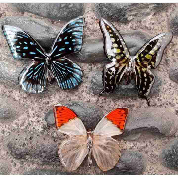 Broches de Mariposas