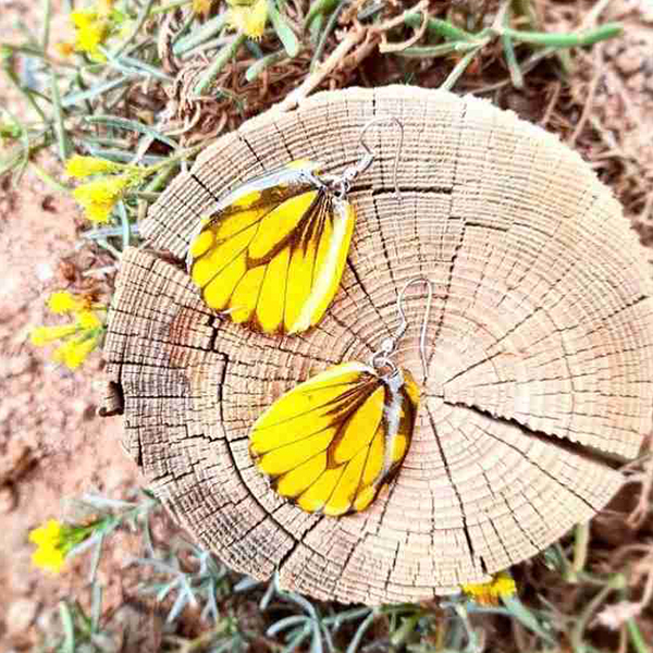 Pendientes alas de mariposa