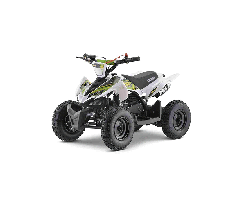 MINIQUAD 49CC PANTERA PRO R6