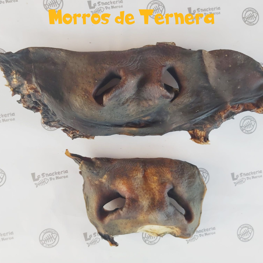 MORROS DE TERNERA (UNIDAD) - XL